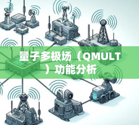 量子多极场(QMULT)功能分析 量子多极场(QMULT)功能分析