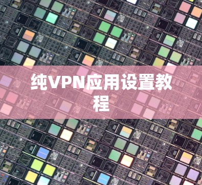 纯VPN应用设置教程
