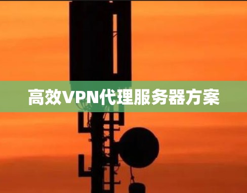 高效VPN代理服务器方案