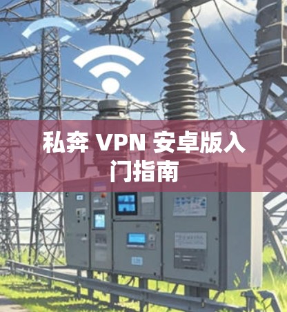 私奔 VPN 安卓版入门指南